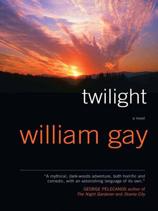 Title details for Twilight by William Gay - Available